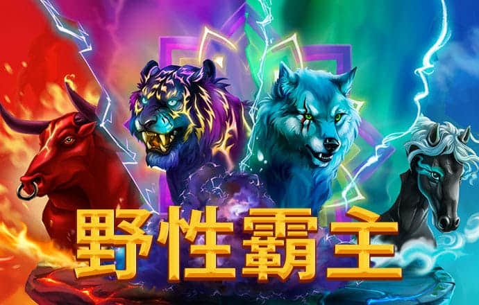 8000cc官网下载